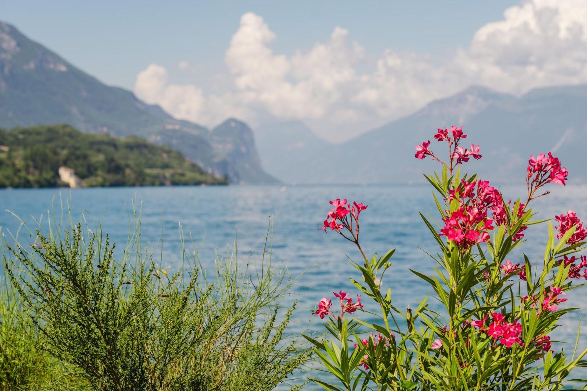 Bed & Breakfast Il Nido Dei Gufi Toscolano Maderno